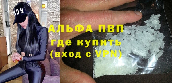 хмурый Бородино