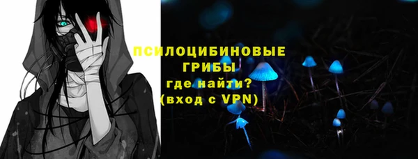 дмт Бугульма
