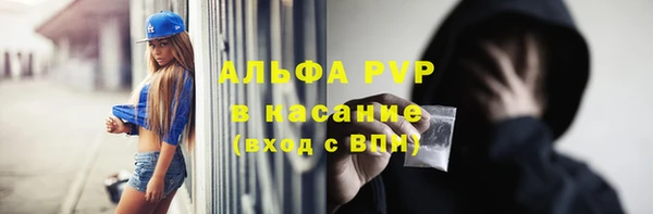 хмурый Бородино