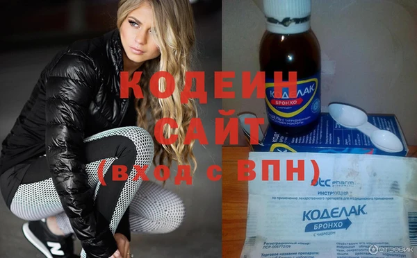 хмурый Бородино
