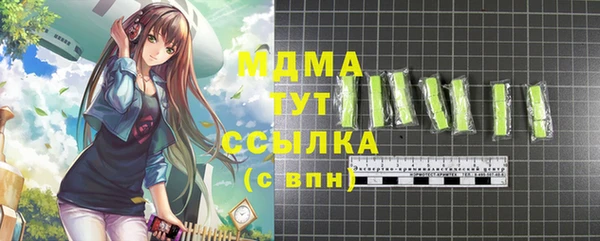 хмурый Бородино