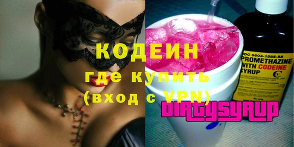 хмурый Бородино